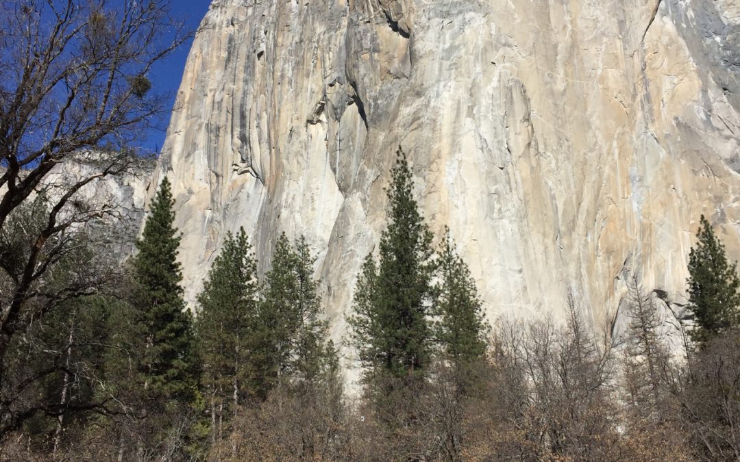 Free Solo: We All Have One