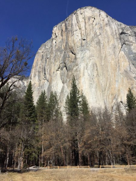 Francie Low Blog El Capitan Yosemite National Park